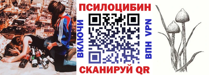 где купить Омутнинск Галлюциногенные грибы GOLDEN TEACHER